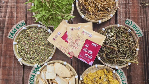 Mau Son Xanh – Nurturing natural wellness from the highlands of Lang Son