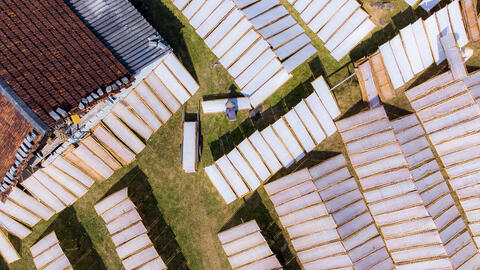 Cao khô Vạn Linh: Hương vị truyền thống trong từng sợi mì