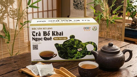 Trà bồ khai Lạng Sơn: Từ lá rừng dân dã đã thành đặc sản OCOP hút khách