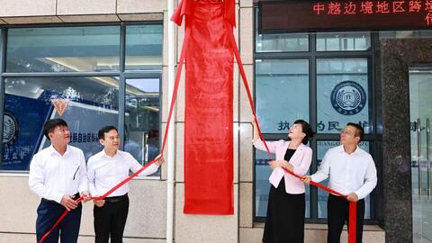 Lạng Sơn tăng cường hợp tác y tế qua biên giới với thành phố Sùng Tả (Trung Quốc)